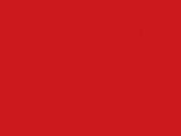 БСП 2800х1310х0,8 Красный китайский U321 ST9, Гр.L4, Egger